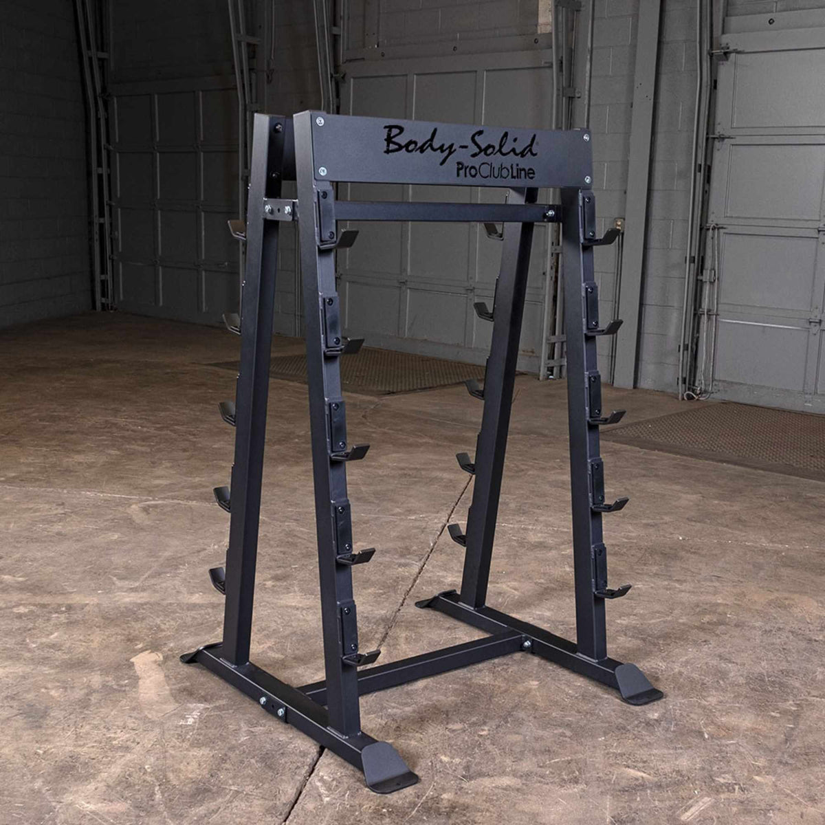 Body-Solid Pro ClubLine Fixed Weight Barbell Rack SBBR100