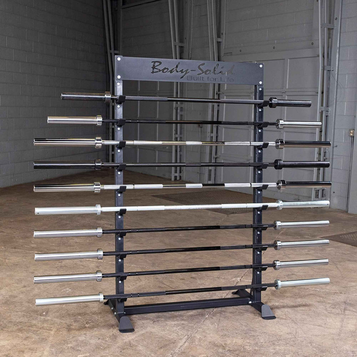 Body-Solid Pro ClubLine Horizontal Bar Rack SBS100
