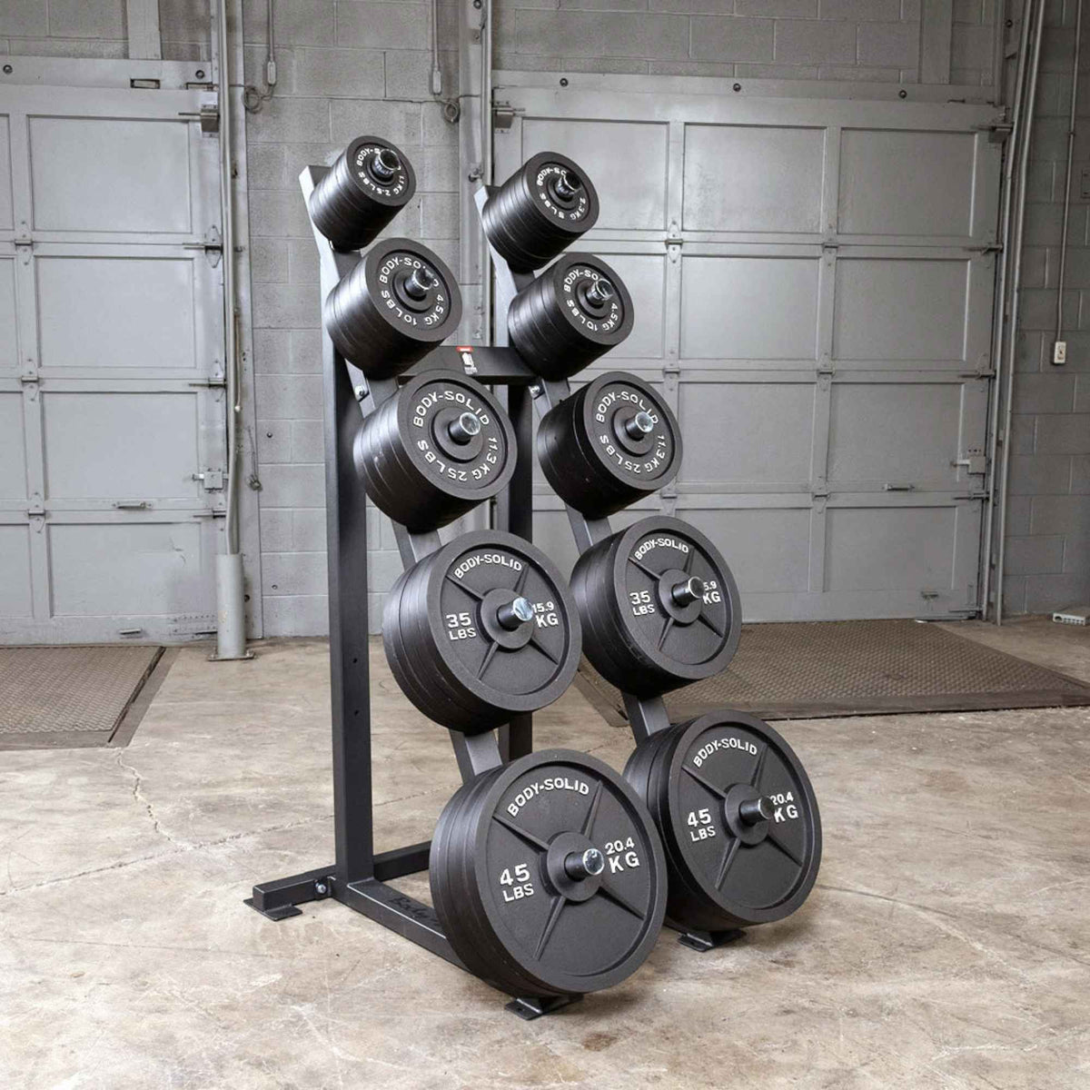 Body-Solid Tools Cast Iron 2" Olympic Plates OSB255 Body-Solid Olympic weight plates neatly organized on a vertical plate storage rack in gym setting.