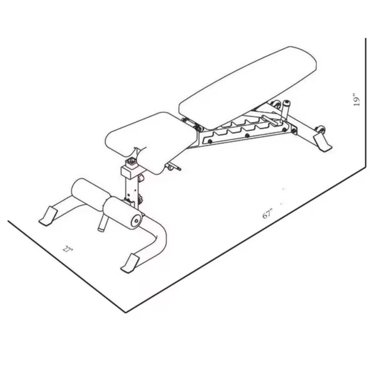 BodyKore Universal FID Bench MX1169 Dimensions