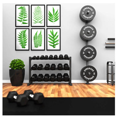 Synergee Weight Plate Wall Storage Rack in Home