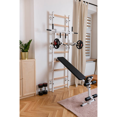 BenchK Wall Bar 733W in a home gym