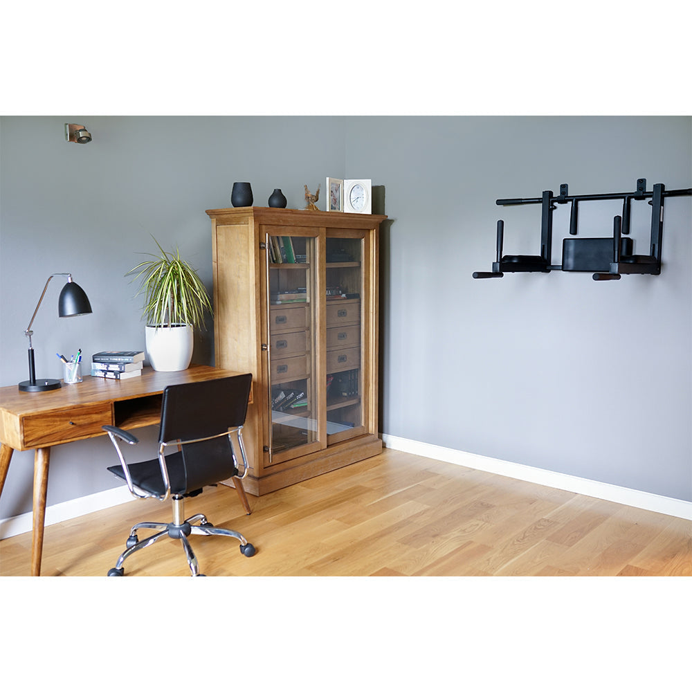 BenchK Wall Mounted Pull-up Bar and Dip Bar D8 in the Office