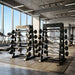 Gym interior with SBZ Fixed Weight Curl and Straight Barbells with racks and exercise equipment