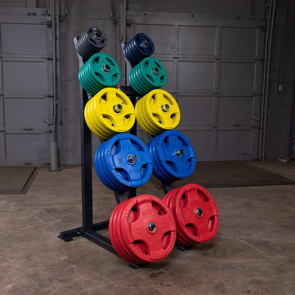 Body-Solid High Capacity Olympic Plate Rack GWT76 with colourful Olympic Plate