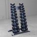 Body-Solid Pro ClubLine Dumbbell Rack SRD300 Vertical dumbbell rack by Body-Solid Pro Club Line holding a full set of black rubber hex dumbbells in a gym setting.