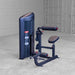 Body-Solid Pro ClubLine Series 2 Ab and Back S2ABBX Rear angle view of the Body-Solid ProClubLine leg extension and leg curl machine showing seat and weight stack.
