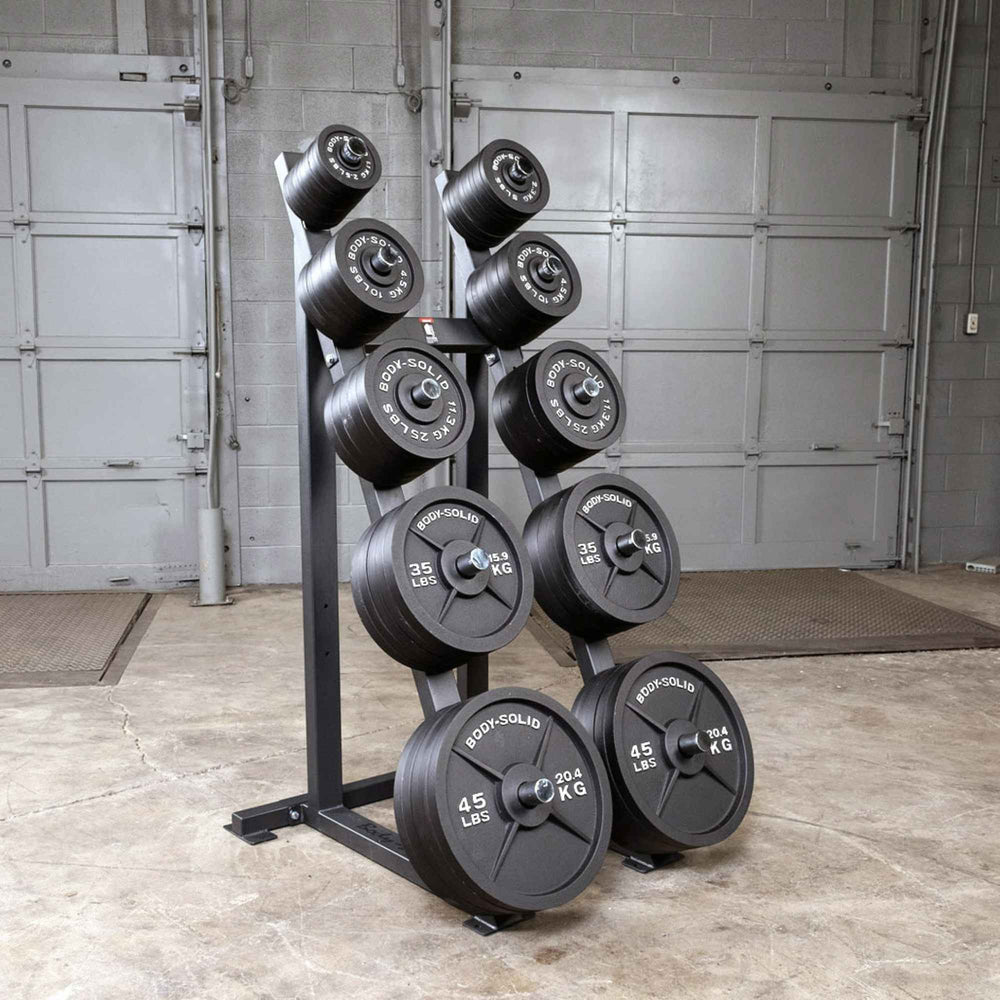Body-Solid Tools Cast Iron 2" Olympic Plates OSB255 Body-Solid Olympic weight plates neatly organized on a vertical plate storage rack in gym setting.