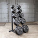 Body-Solid Tools Cast Iron 2" Olympic Plates OSB255 Body-Solid Olympic weight plates neatly organized on a vertical plate storage rack in gym setting.