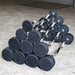 Body-Solid Tools Fixed Weight EZ Curl Barbells, from 20 to 110 lb. Rubber-coated EZ curl bar set in pyramid arrangement ranging from 20 to 110 lb