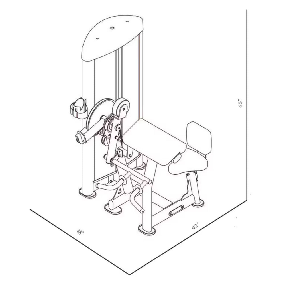BodyKore Isolation Series Bicep/Tricep GR634 Dimensions