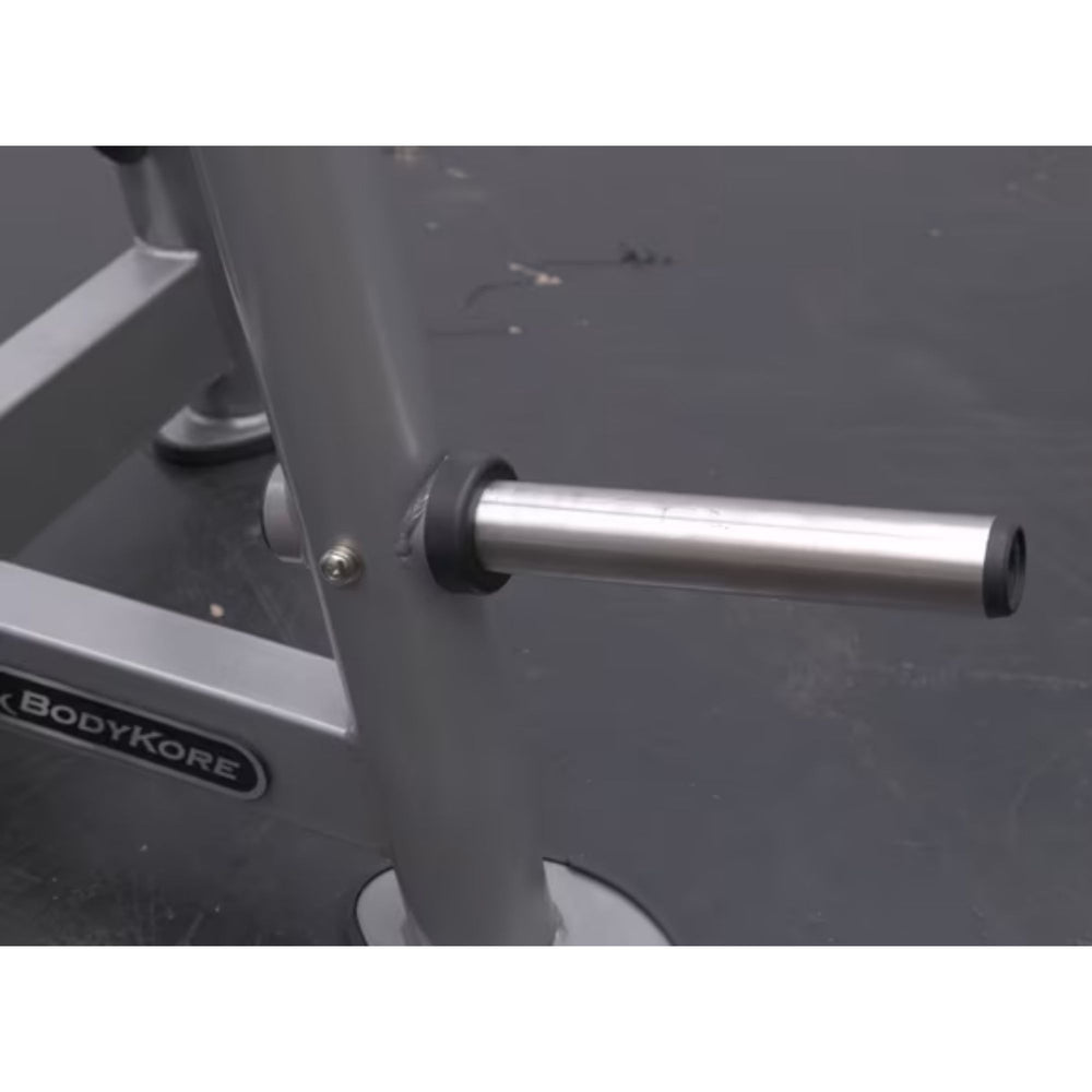 BodyKore Weight Plate Tree CF2134 12 Stainless Steel Pegs