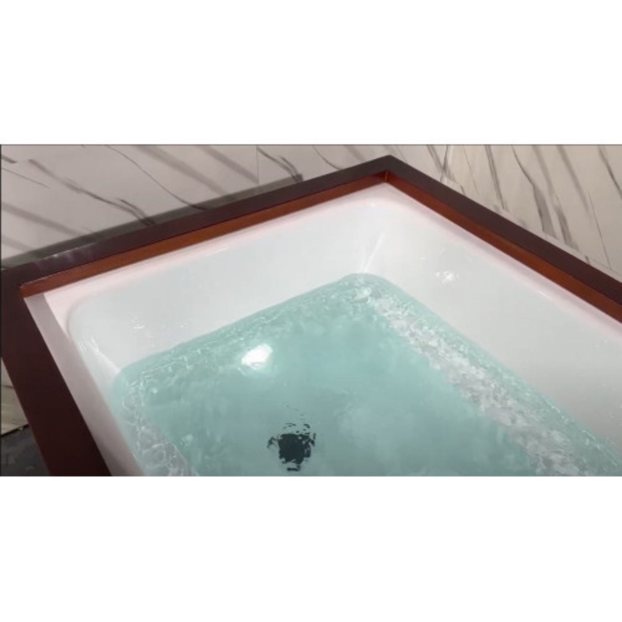 Luxury Spas Cold Plunge Platinum-Black Inside View