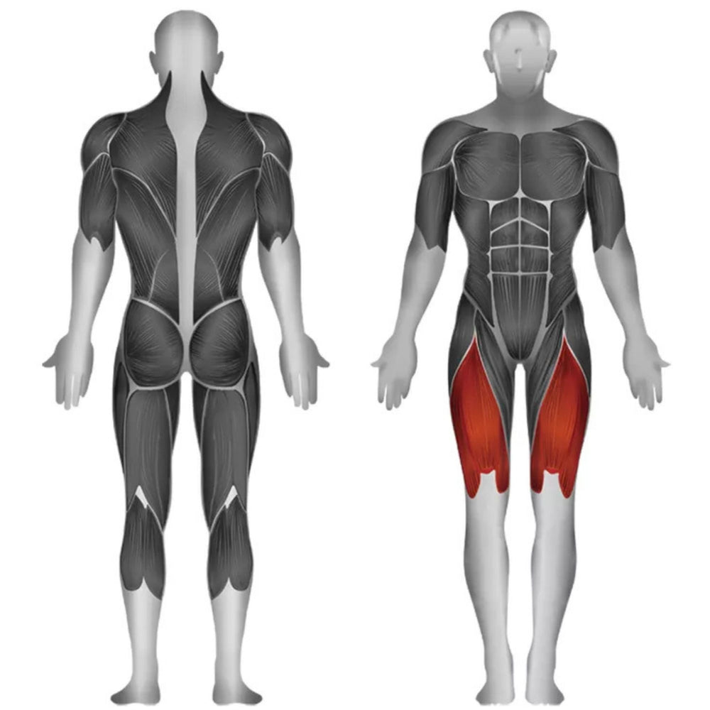 Steelflex Leg Extension JGLE200 muscle activation diagram for Leg Extension exercise