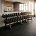 Row of TKO 830TU dumbbells on a TKO 7051B-BK rack in a gym setting with large windows and mirrors.