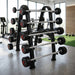 Set of barbells on a rack in a gym setting