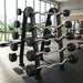 barbell and barbell rack in a gym setting with large windows.