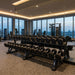 Gym with TKO Ten-Sided Pro Rubber Dumbbell Set 829T and two TKO 15-Pair Dumbbell Rack With Saddles 7051B-BK and city view