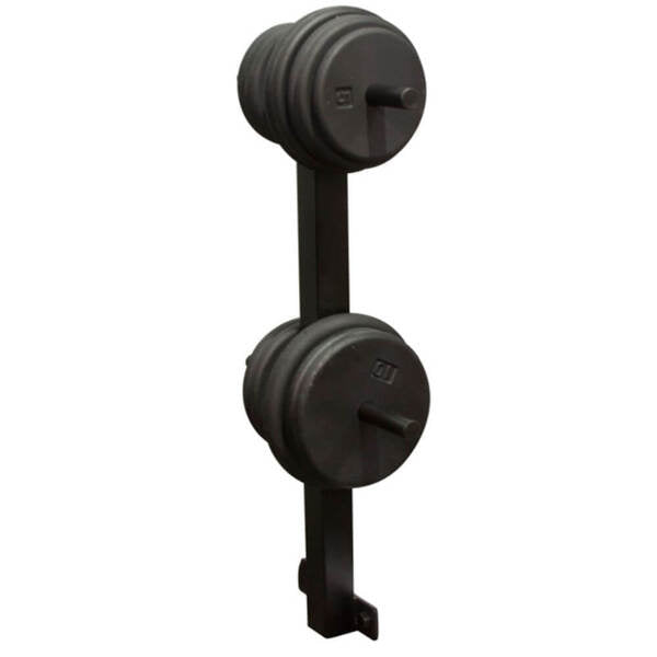 Body-Solid Gym Weight Tree GWT4 with weights plates
