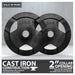 Cast Iron Weight Plates 25 LB Pair