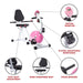 Sunny Health & Fitness Pink Magnetic Recumbent Bike Features