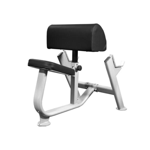 Muscle D BM PCB Preachers Curl Bench Competitors Outlet