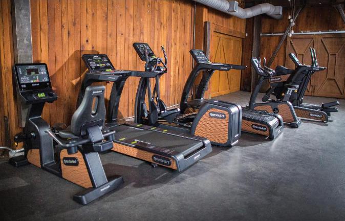 SportsArts Status Eco-Natural Upright Cycle C576U inline with SportsArt line up cardio machines inside a gym 