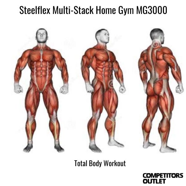 Steelflex Multi Gym MG3000 body focus