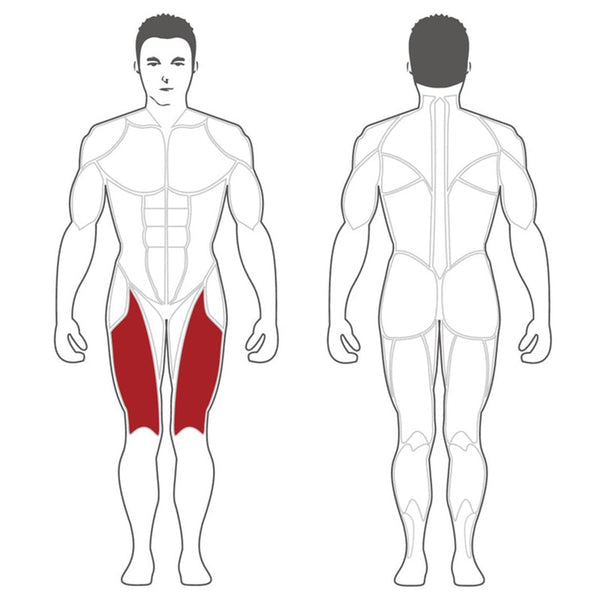 Leg extension online anatomy