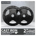 Synergee Cast Iron Weight Plates 35 LB Pair 2 inch Opening