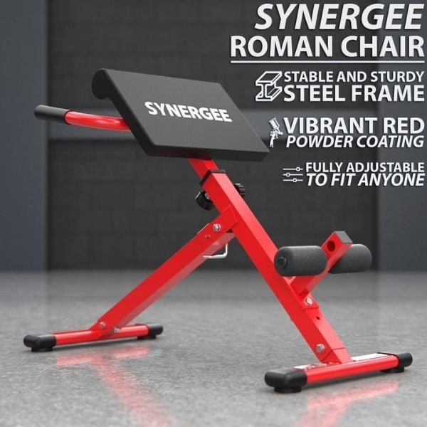 Synergee Roman Chair Steel Frame