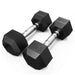 Synergee Rubber Hex Dumbbells 12.5LB Pair