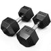Synergee Rubber Hex Dumbbells 45LB Pair
