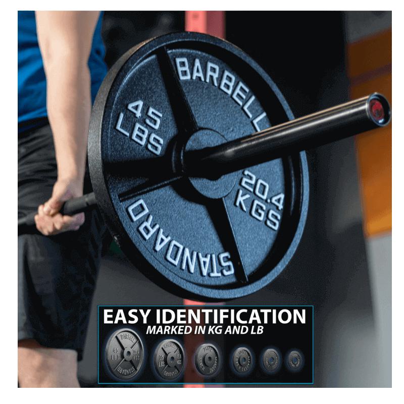 Synergee Standard Metal Weight Plates Singles Easy Identification