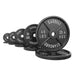 Synergee Standard Metal Weight Plates Singles Full Collection