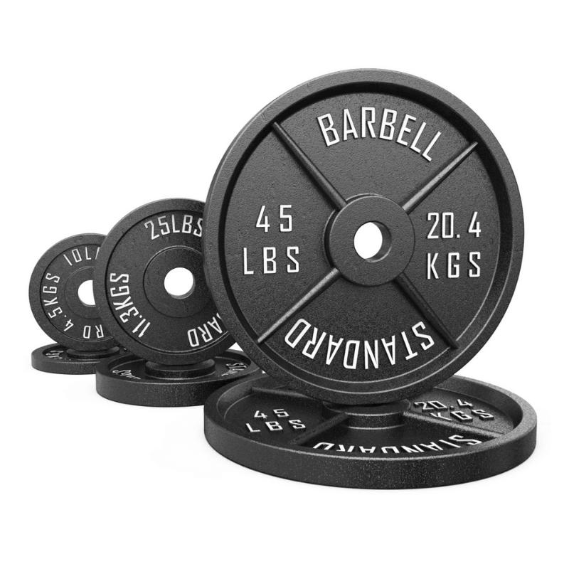Synergee Standard Metal Weight Plates Singles