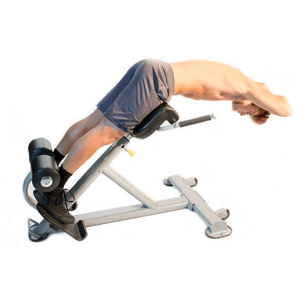 The-Abs-Company-Lumbar-X-6