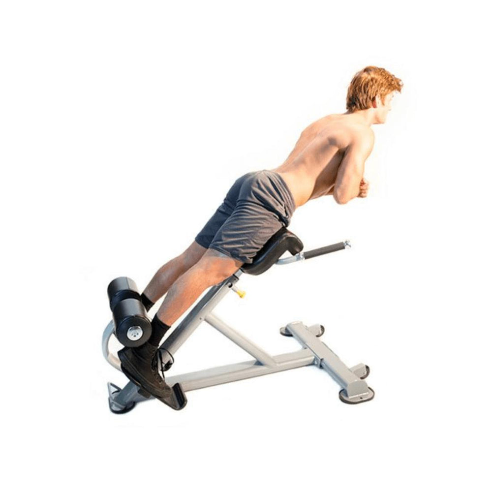 The-Abs-Company-Lumbar-X-7