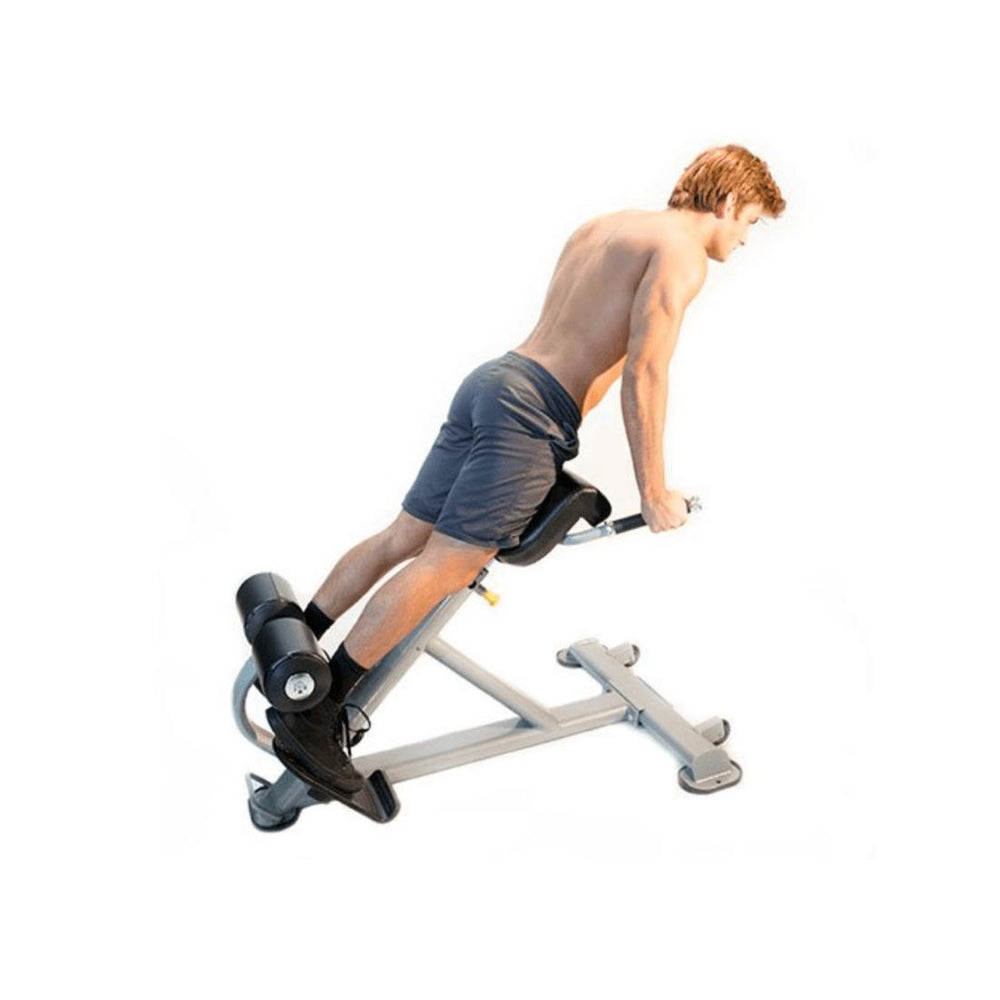 The-Abs-Company-Lumbar-X-8
