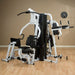 Body-Solid Vertical Knee Raise Station VKR30 with Home Gym